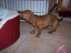 100_0501.gif (196586 bytes)