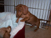 100_0502.gif (210182 bytes)