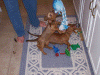 100_0519.gif (216513 bytes)