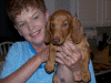100_0525.gif (212229 bytes)
