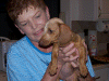 100_0527.gif (217287 bytes)